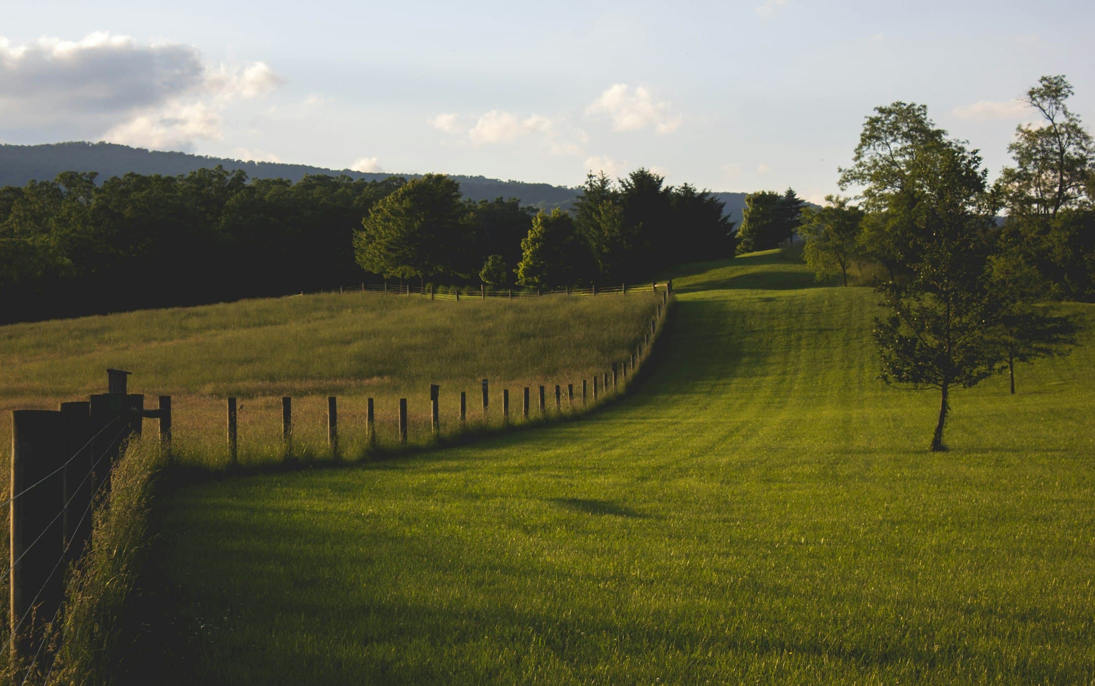 Pradera verde con valla de madera al atardecer